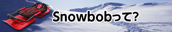 次世代型ソリ SnowBob 体重移動で方向転換可能 ウィンタースポーツ